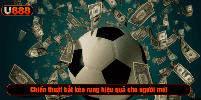 Chiến thuật bắt kèo rung hiệu quả cho người mới