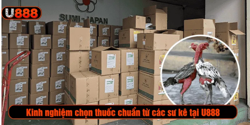 Kinh nghiệm chọn thuốc chuẩn từ các sư kê tại U888