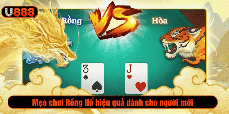 Mẹo chơi Rồng Hổ hiệu quả dành cho người mới