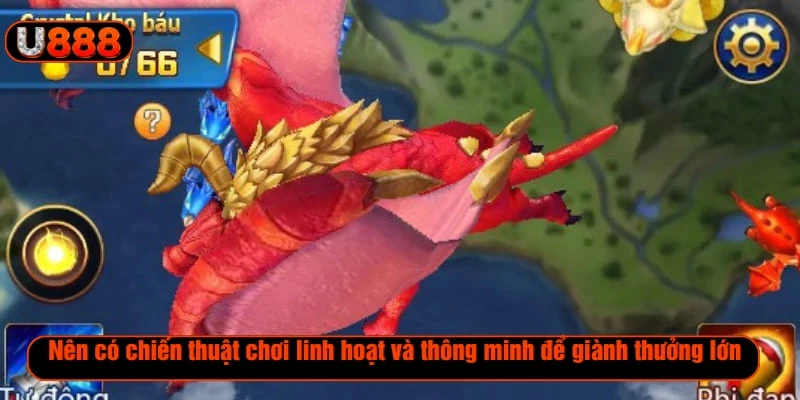 Nên có chiến thuật chơi linh hoạt và thông minh để giành thưởng lớn