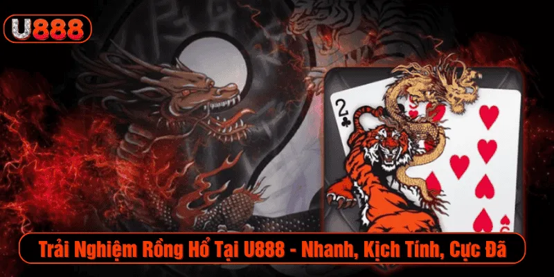 Rồng Hổ