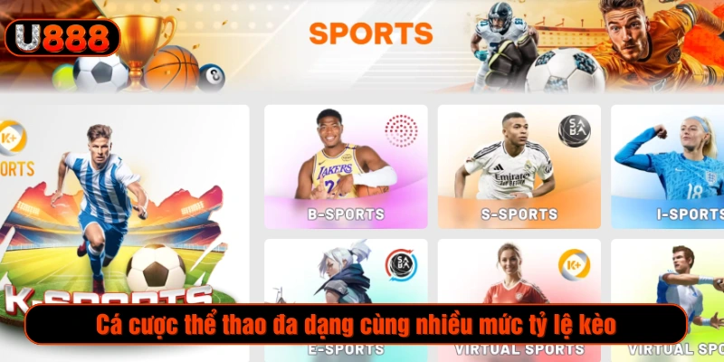 Sảnh cược thể thao hấp dẫn với đa dạng mức tỷ lệ kèo 