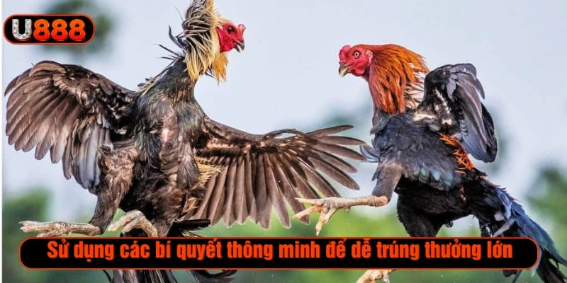 Sử dụng các bí quyết thông minh để dễ trúng thưởng lớn