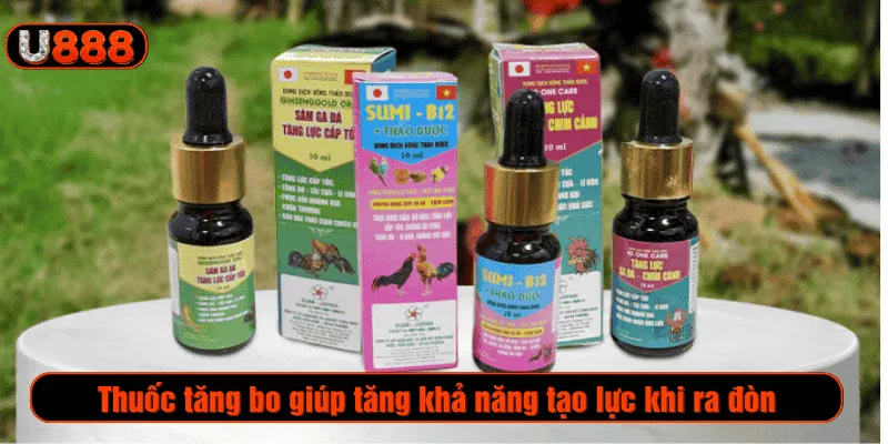 Thuốc tăng bo giúp tăng khả năng tạo lực khi ra đòn
